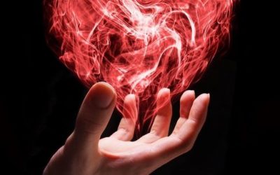The flow of energy